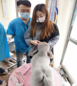 B级速成班
