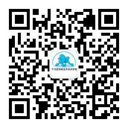 微信公众号