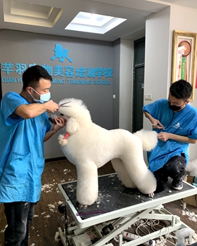 芊羽老校区课堂状态