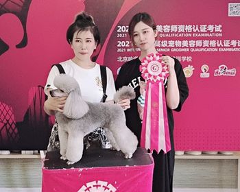李朦