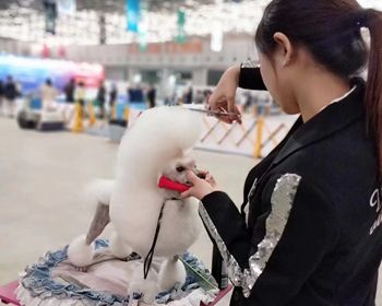 专业培训宠物美容师对人们的生活有怎样的影响