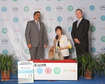 选择北京宠物学校需要关注的三大事项