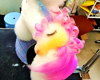 雕花染色创意小作品