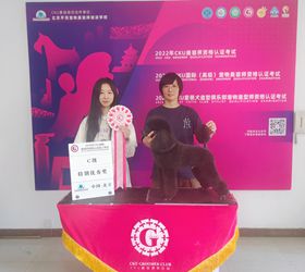 马丽
