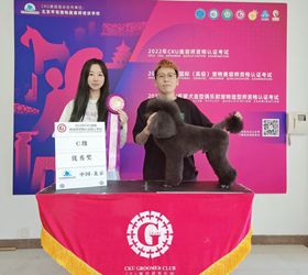 王望