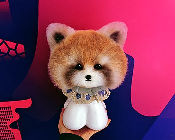 小熊猫创意染色