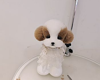 宠物美容前后大拼图
